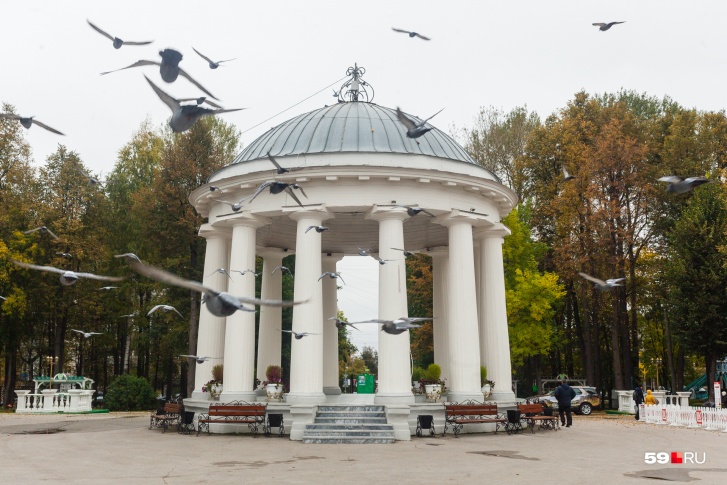 Ветер завтра усилится Ветер завтра усилится