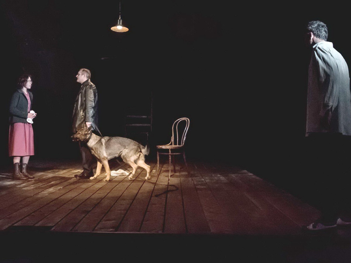 Спектакль собаки театр. Орфей спускается в ад драмтеатр Омск. Орфей спускается в ад спектакль. Спектакль собаки. Собака в театре.
