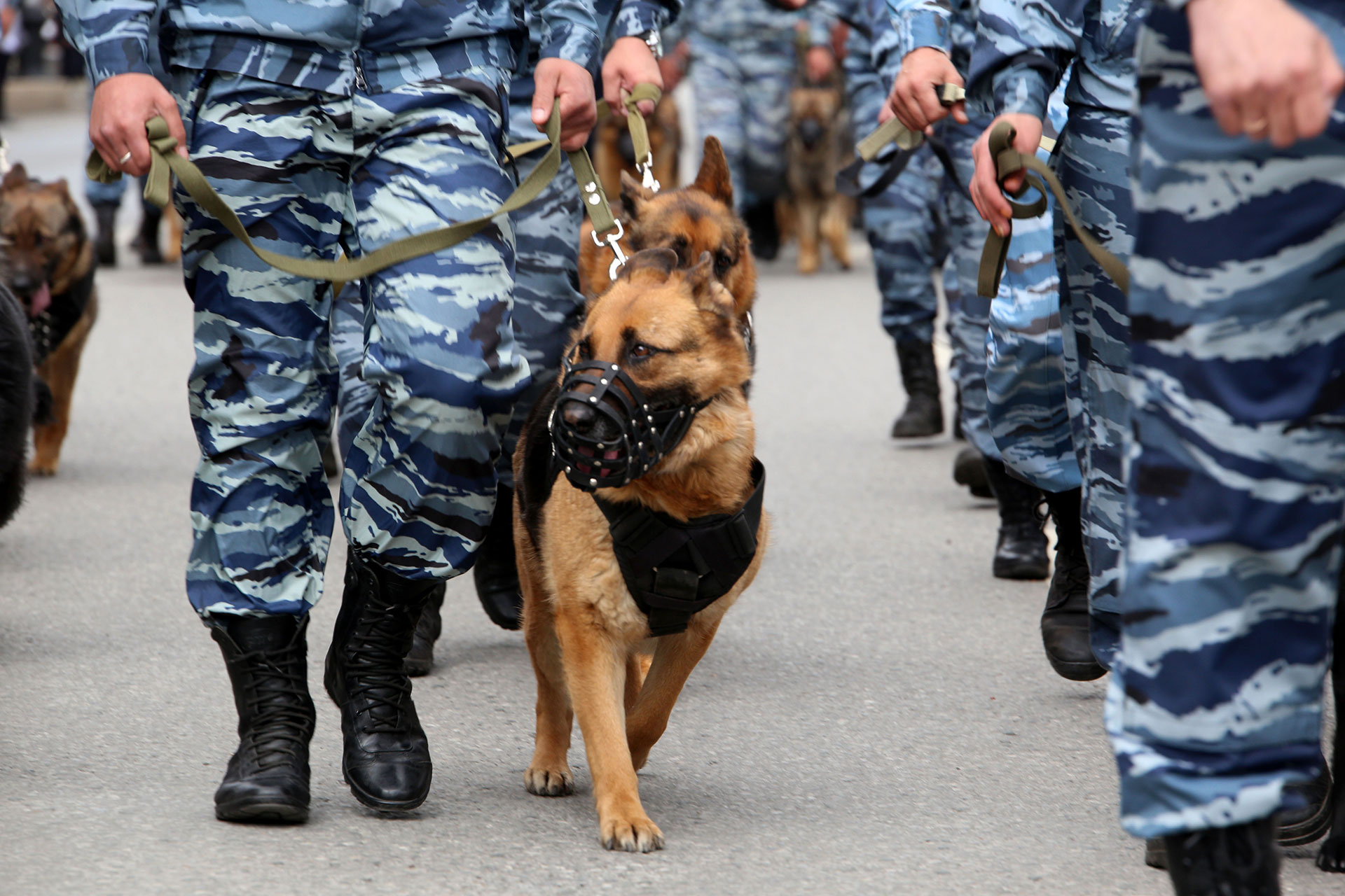 «УГНТУ оцепили, с собаками что-то ищут»: полиция проверила вуз на подозрительный предмет