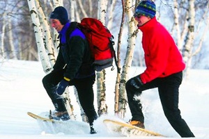 Снегоступщики Снегоступщики
