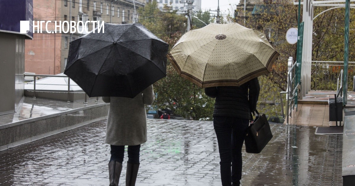 мокрый новосибирск