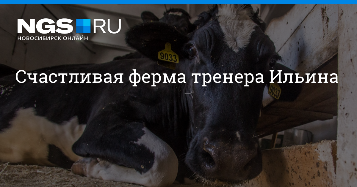 кредит сбербанк 2020 год