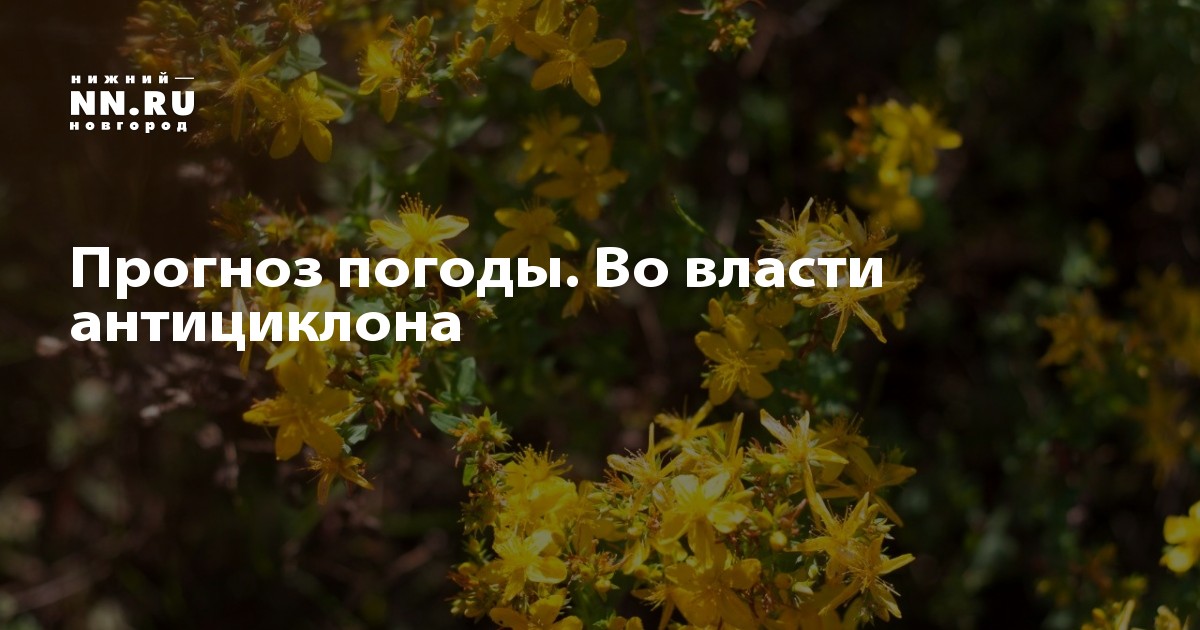 Погода в серебрянке воронежская область
