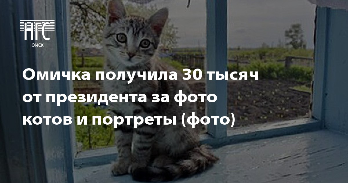 Ветеринарная клиника бгау телефон