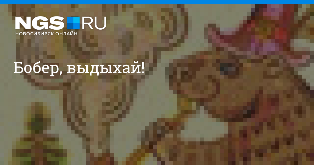 Выдыхай бобер гифка, открытка