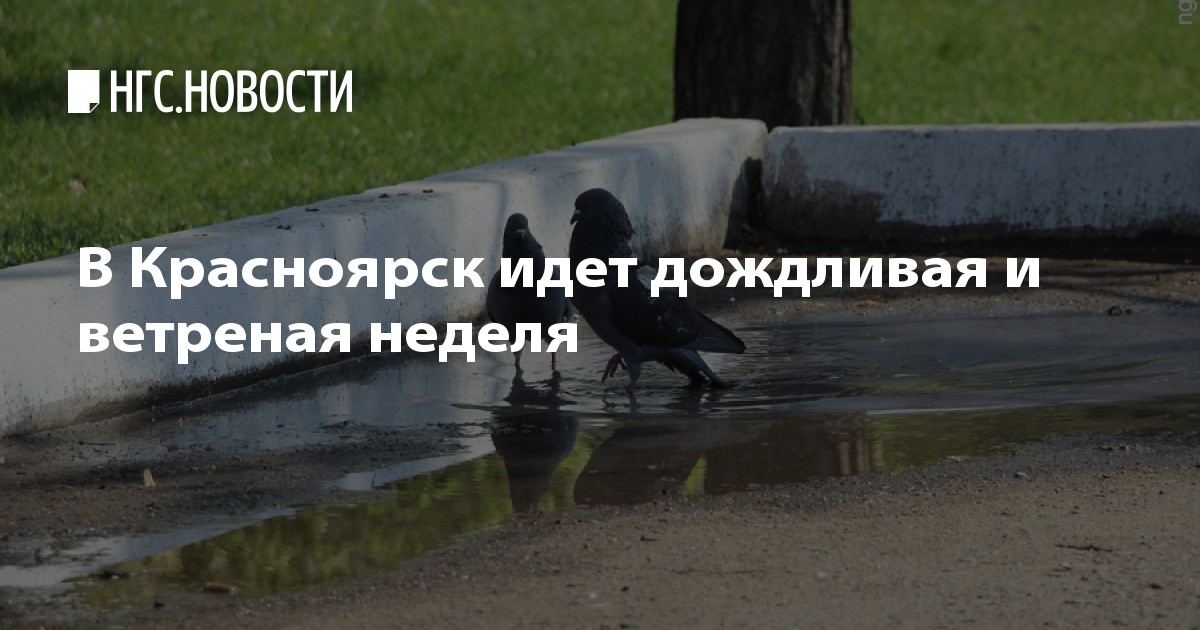 омск прогноз на футбол омск прогноз на футбол