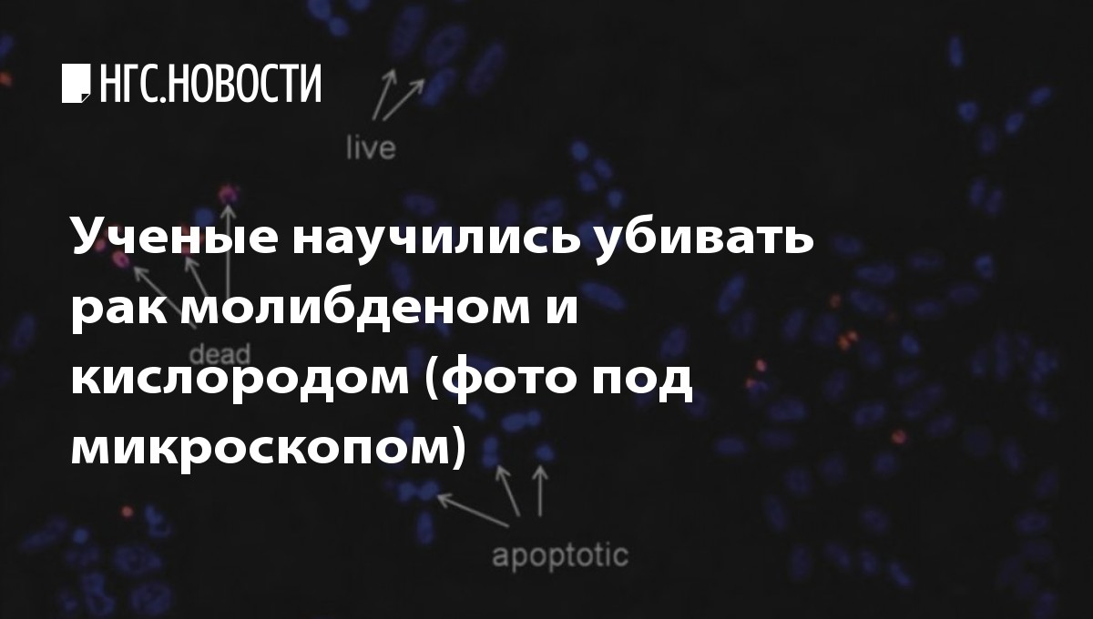 Рак не любит кислород и свет