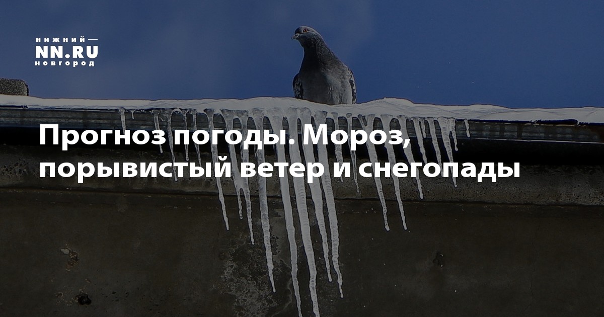 2015 погода в москве на 2
