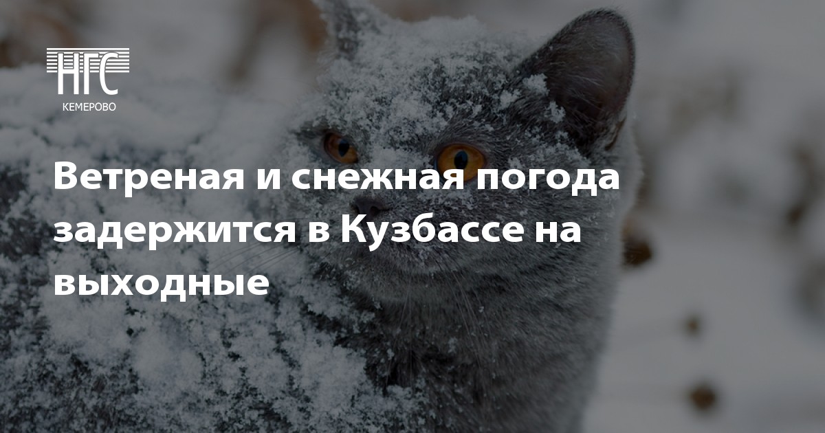 Пушкин аэродром праздник 2017