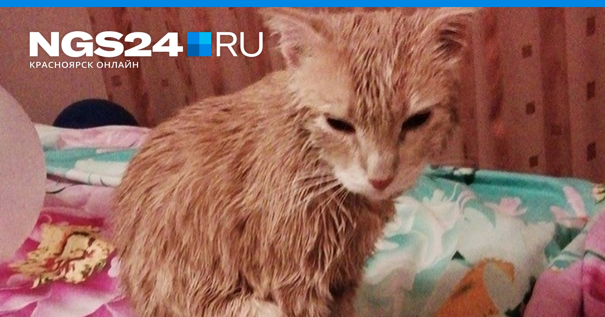 застряла но брат не стал вытаскивать порно