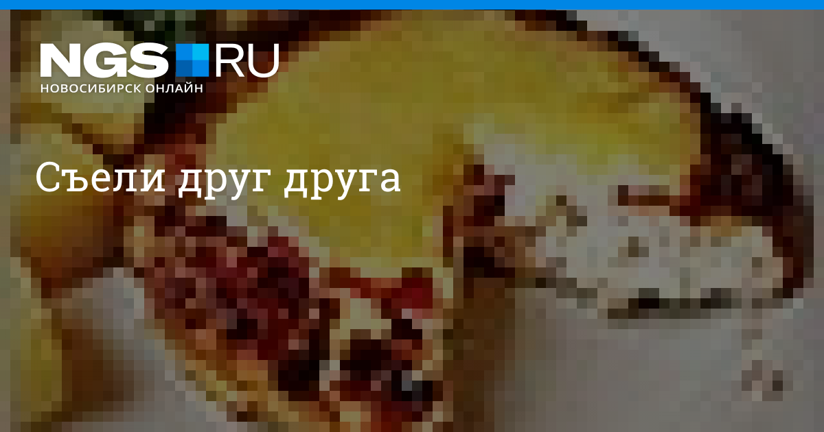 Съели друг друга