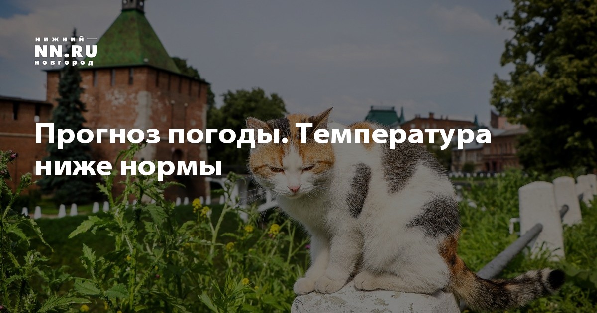 Точный прогноз погоды кызыл