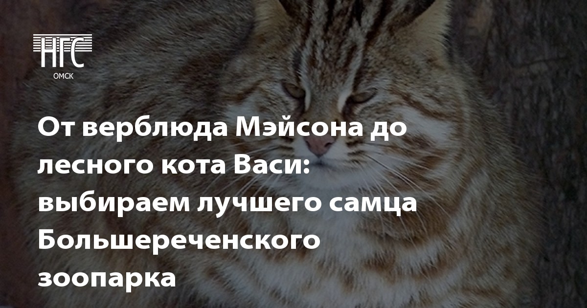 Что значит врачи без границ