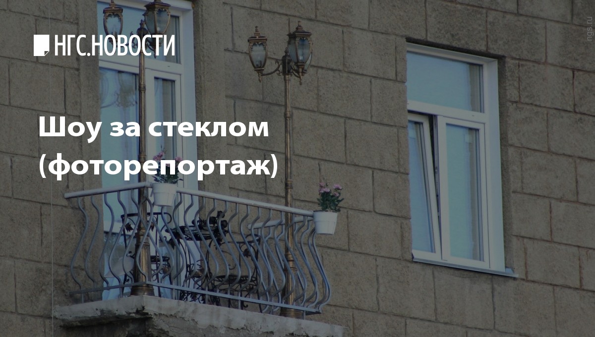 Шоу за стеклом (фоторепортаж) - нгс.новости.