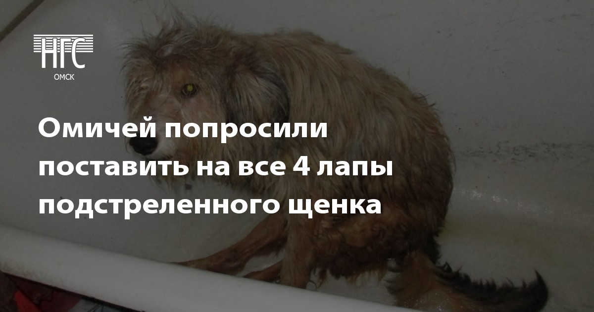 Домодедовская центральная городская больница главный врач