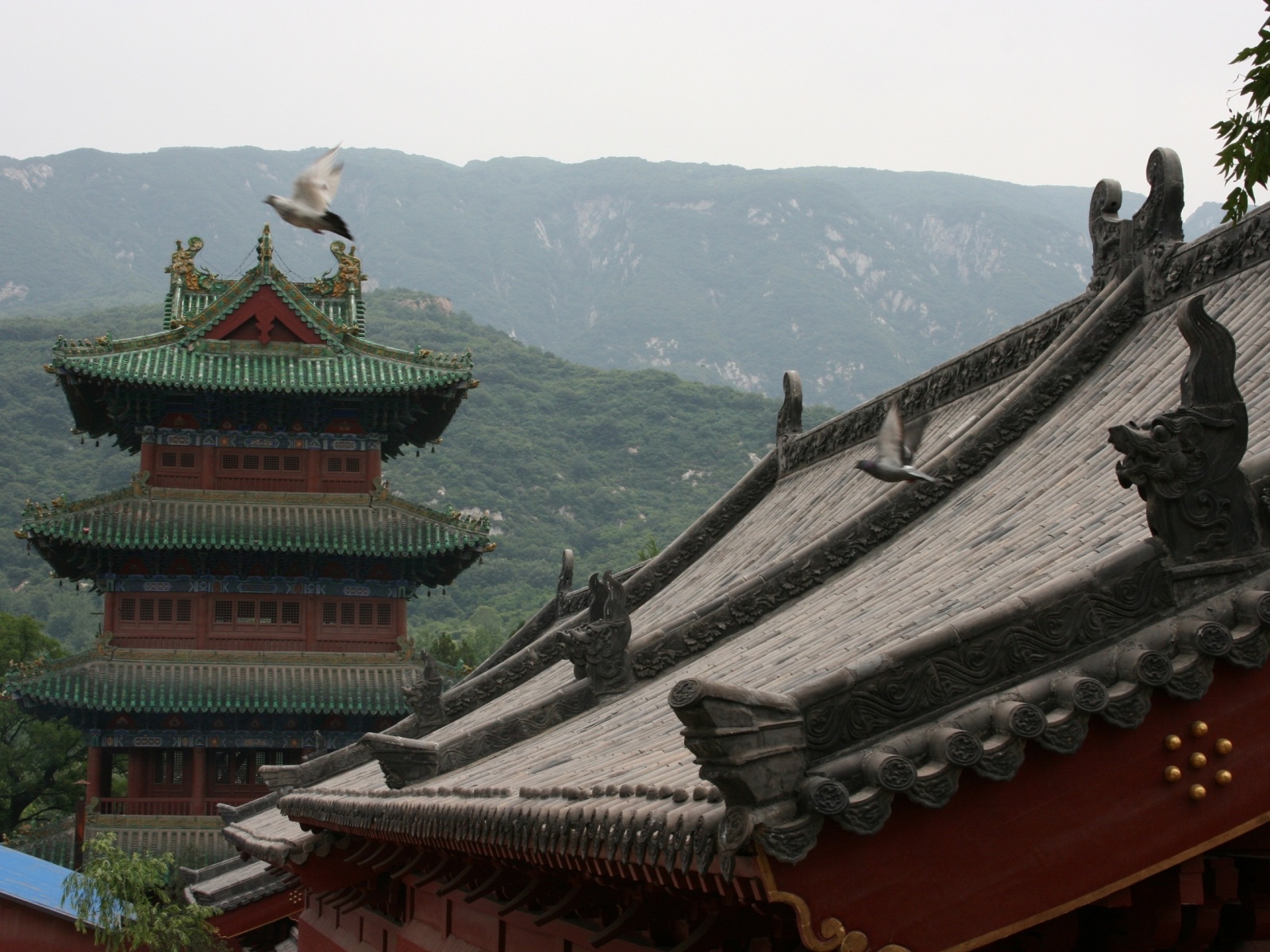 Китай храм Шаолинь